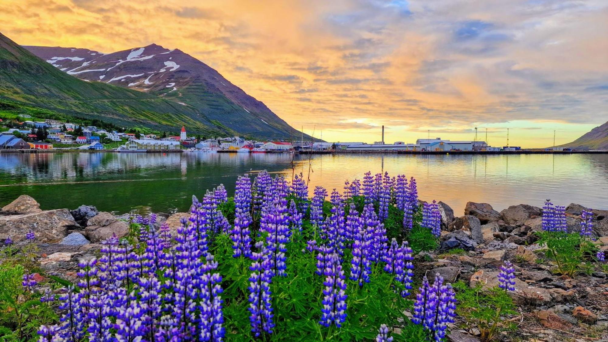 Landakot The Perfect Getaway By Staynorth Siglufjordur Exterior foto